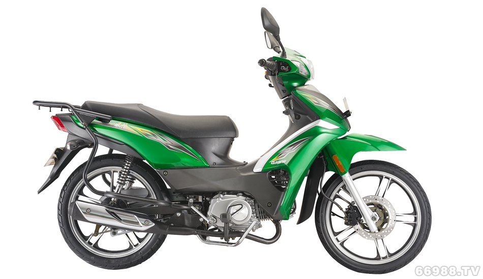 錢江風(fēng)范QJ125-11 a1-1摩托車