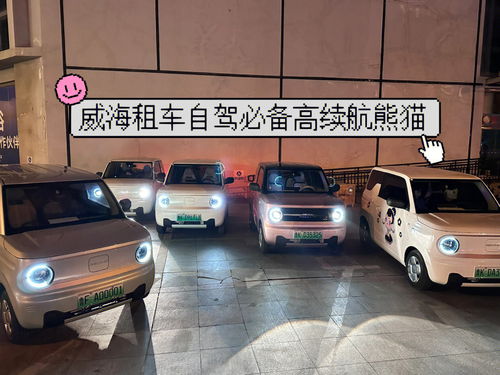 威海租车必备高续航熊猫超低价预约